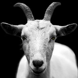 Meet your Posher, Russel